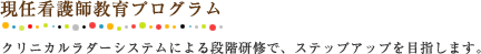 現任看護師教育プログラム